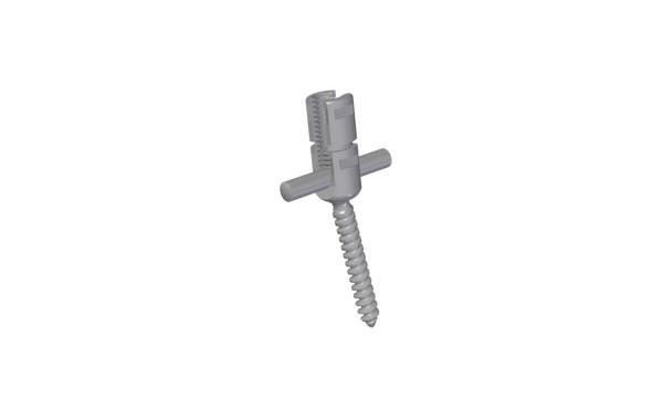Reduction screw  6.5 MM